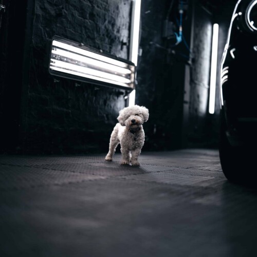 Car Detailing Company